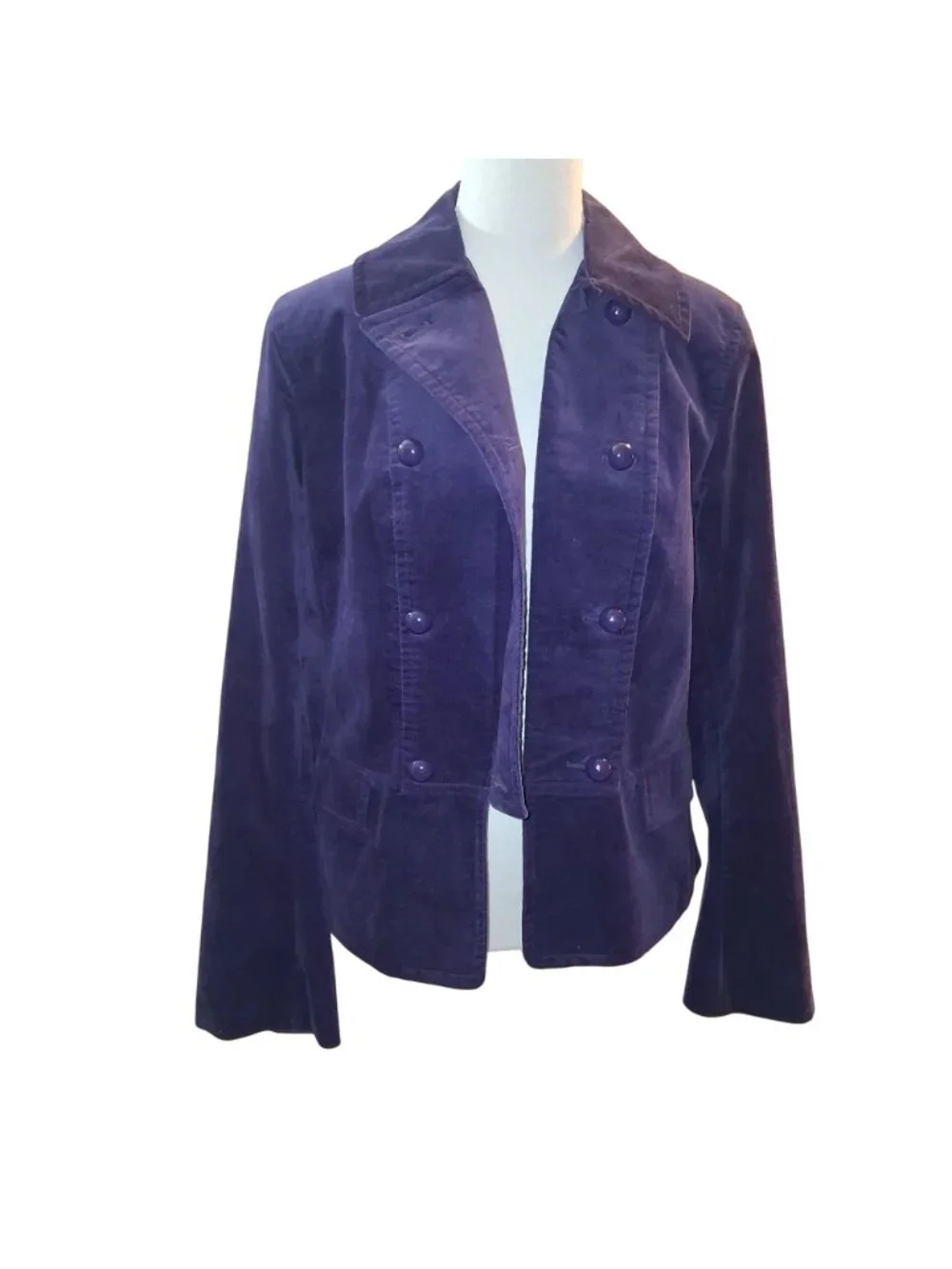 Talbots this vibrant
